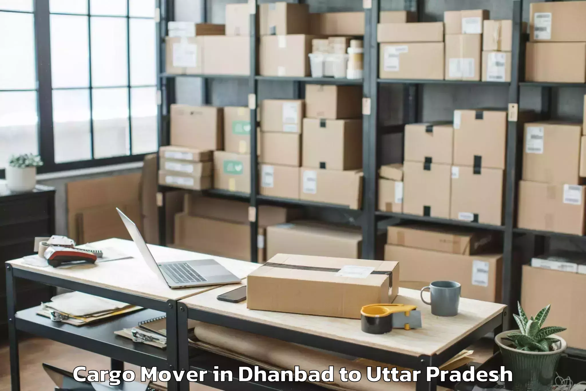 Top Dhanbad to Muhammadabad Cargo Mover Available